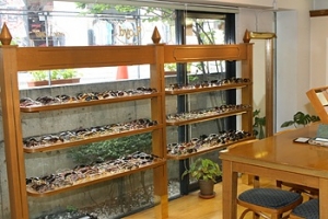 Opticien Loyd