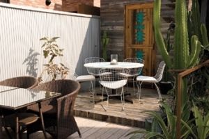 cafe Hohokam